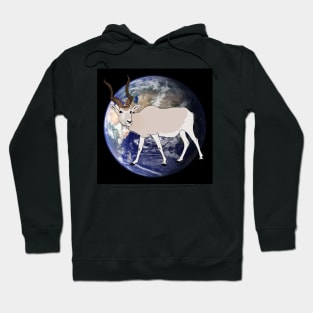 Fabulous planet of diversity : ADDAX Hoodie